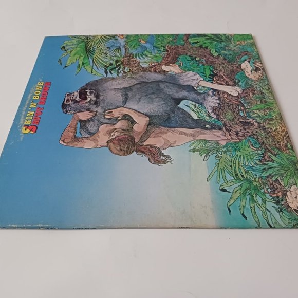 Vintage Savoy Brown Skin 'N' Bone vinyl record, 1976 first pressing, original - Picture 4 of 10